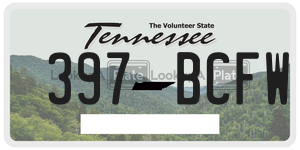 397BCFW  license plate in TN