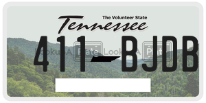 411BJDB  license plate in TN