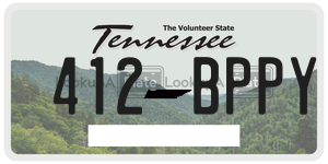 412BPPY  license plate in TN