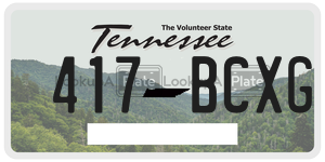 417BCXG  license plate in TN