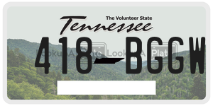 418BGGW  license plate in TN