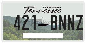 421BNNZ  license plate in TN