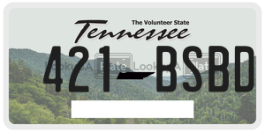 421BSBD  license plate in TN