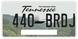 440BRDJ  license plate in TN