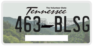463BLSG  license plate in TN