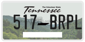 517BRPL  license plate in TN