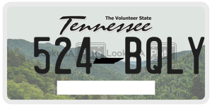 524BQLY  license plate in TN