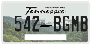 542BGMB  license plate in TN