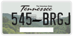 545BRGJ  license plate in TN