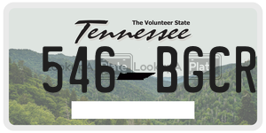 546BGCR  license plate in TN