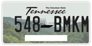 548BMKM  license plate in TN