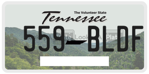 559BLDF  license plate in TN