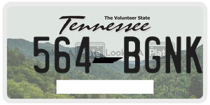 564BGNK  license plate in TN