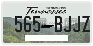 565BJJZ  license plate in TN
