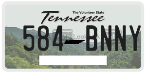 584BNNY license plate in Tennessee