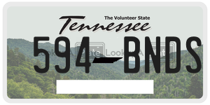 594BNDS  license plate in TN