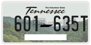 601635T  license plate in TN