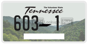 6031  license plate in TN
