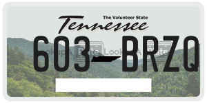 603BRZQ  license plate in TN