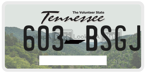 603BSGJ  license plate in TN