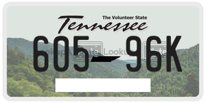 60596K  license plate in TN