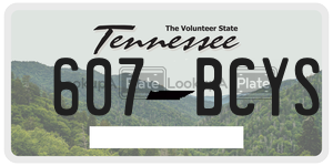 607BCYS  license plate in TN