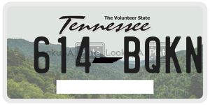614BQKN  license plate in TN