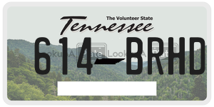 614BRHD  license plate in TN