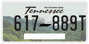 617889T  license plate in TN