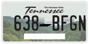 638BFGN license plate in Tennessee