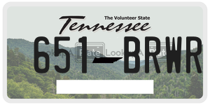 651BRWR  license plate in TN