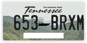 653BRXM  license plate in TN