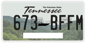 673BFFM  license plate in TN