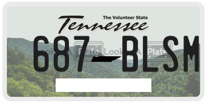 687BLSM license plate in Tennessee