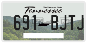 691BJTJ  license plate in TN
