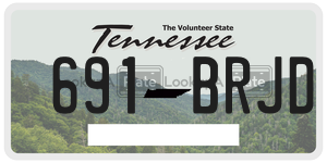 691BRJD  license plate in TN