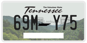 69MY75  license plate in TN