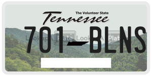 701BLNS  license plate in TN
