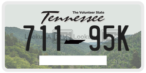 71195K  license plate in TN