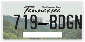 719BDGN  license plate in TN