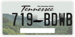 719BDWB  license plate in TN