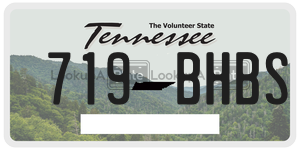 719BHBS  license plate in TN