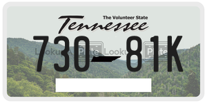 73081K  license plate in TN