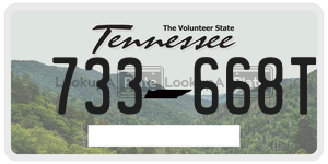 733668T  license plate in TN