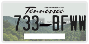 733BFWW license plate in Tennessee