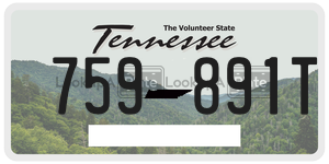 759891T  license plate in TN