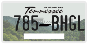 785BHGL  license plate in TN