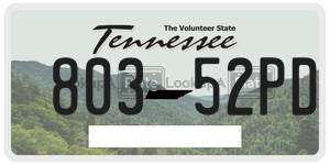 80352PD  license plate in TN
