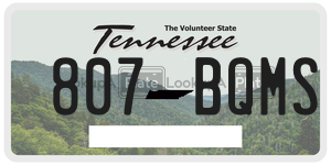 807BQMS  license plate in TN