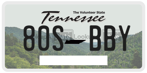 80SBBY  license plate in TN